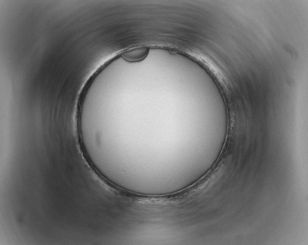 X0000116680902201001041146