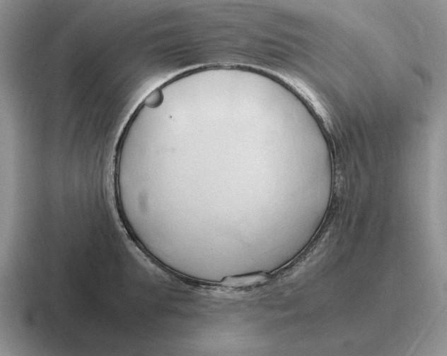 X0000116680903201001041146