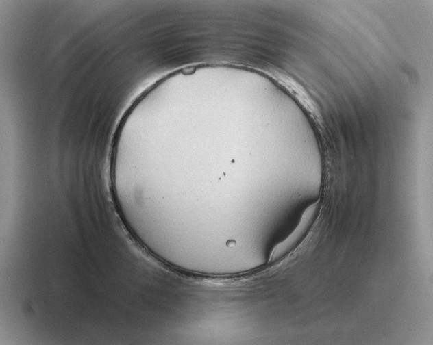 X0000116680904201001041146