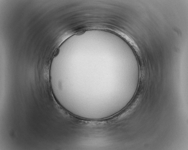 X0000116680905201001041146