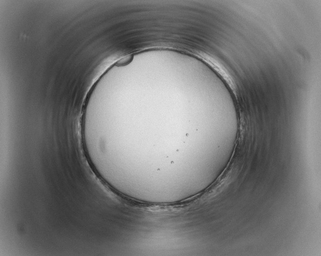 X0000116680906201001041146