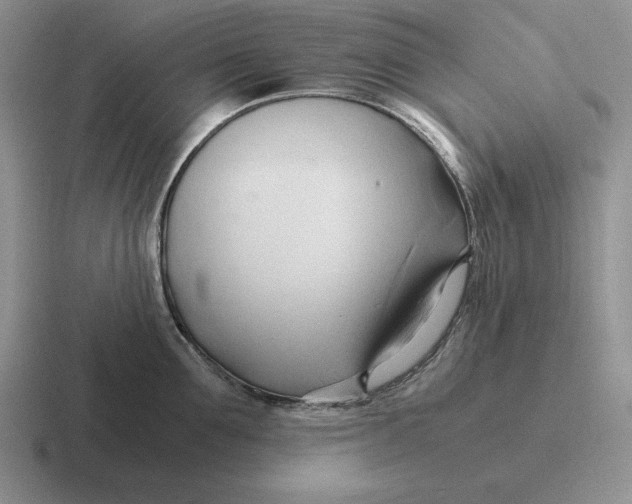 X0000116680907201001041146