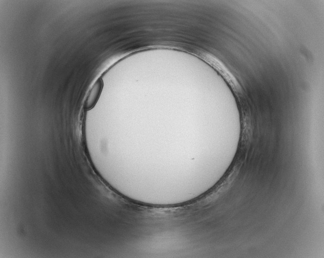 X0000116680908201001041146