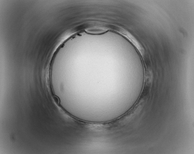 X0000116680909201001041146