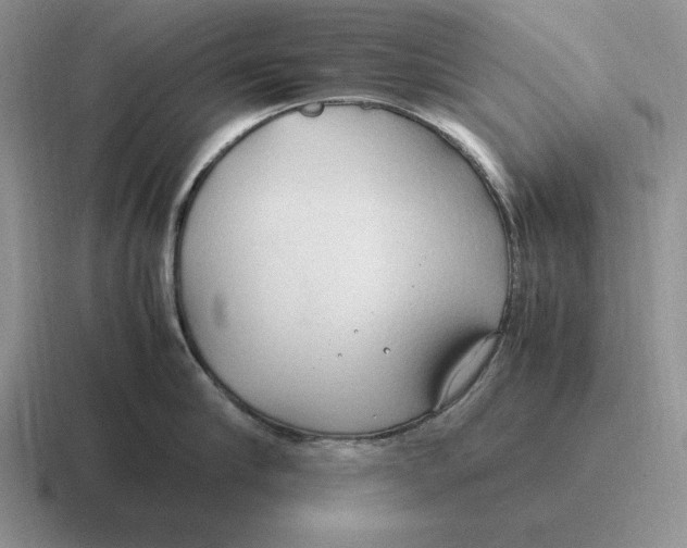 X0000116680910201001041146