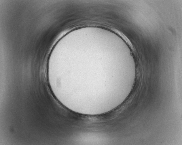 X0000116680911201001041146