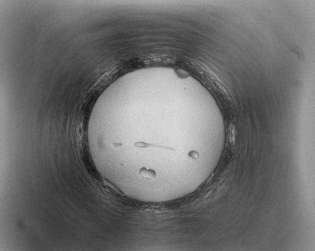 X0000116680915201001041146