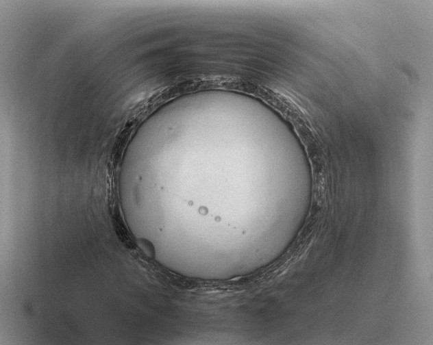 X0000116680917201001041146