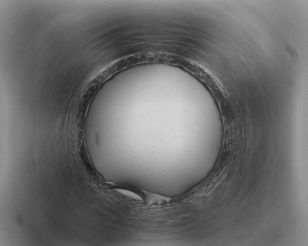 X0000116680919201001041146