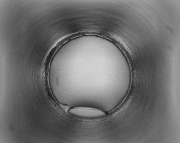 X0000116680923201001041146