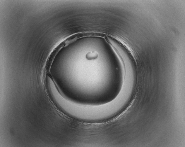 X0000116680925201001041146