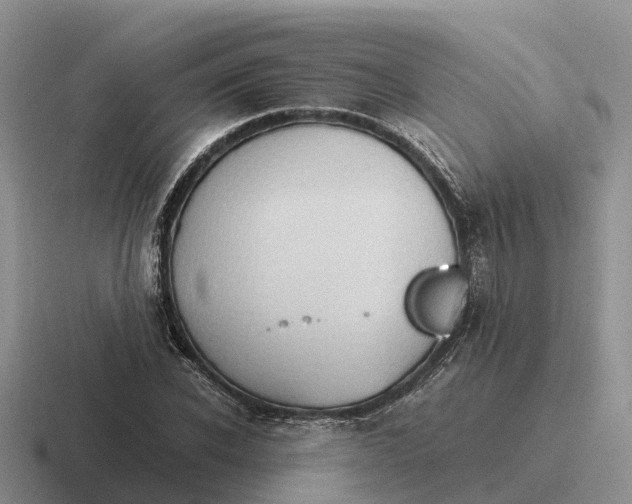 X0000116680926201001041146