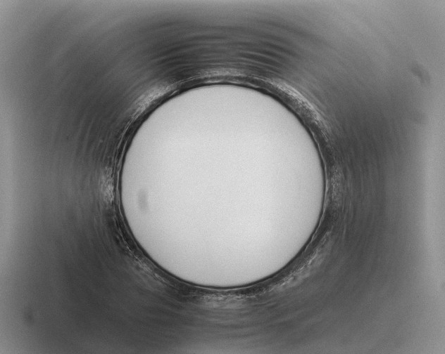 X0000116680929201001041146