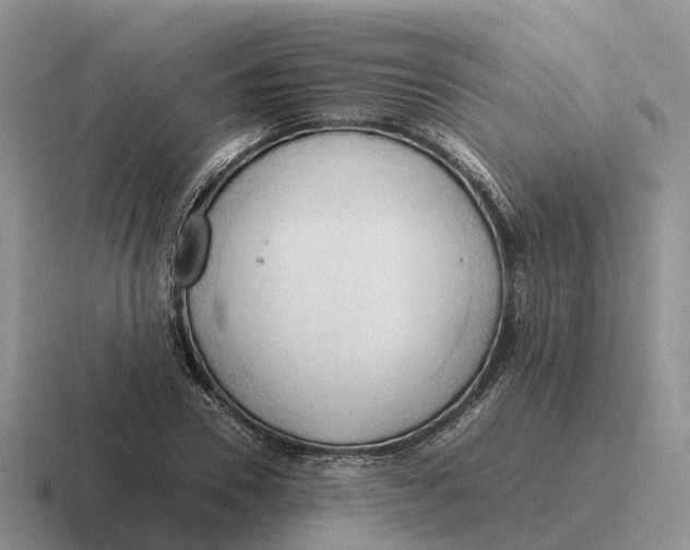 X0000116680930201001041146