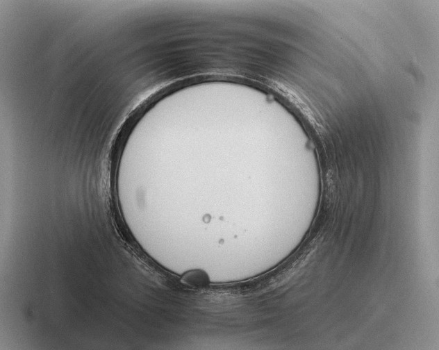 X0000116680931201001041146