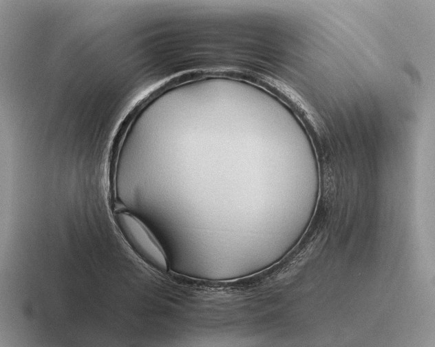 X0000116680935201001041146