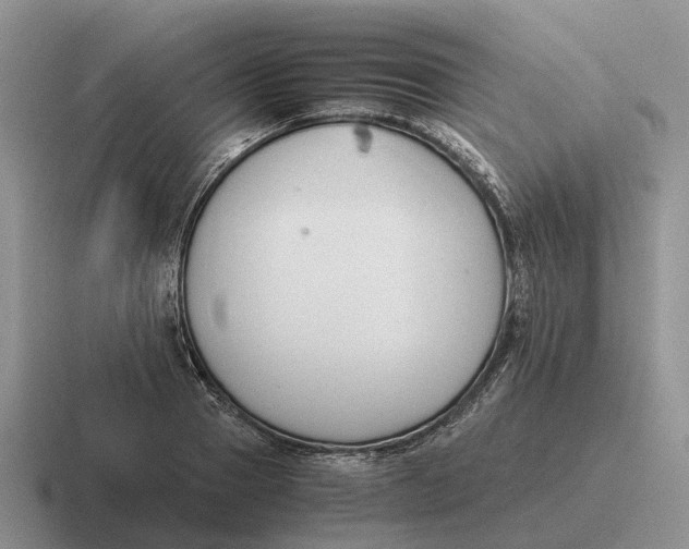 X0000116680937201001041146