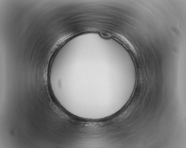 X0000116680938201001041146