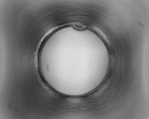 X0000116680939201001041146