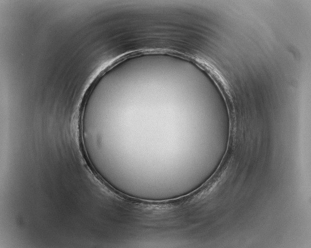 X0000116680941201001041146