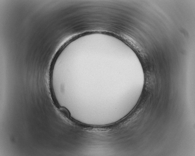 X0000116680942201001041146