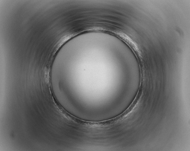 X0000116680945201001041146