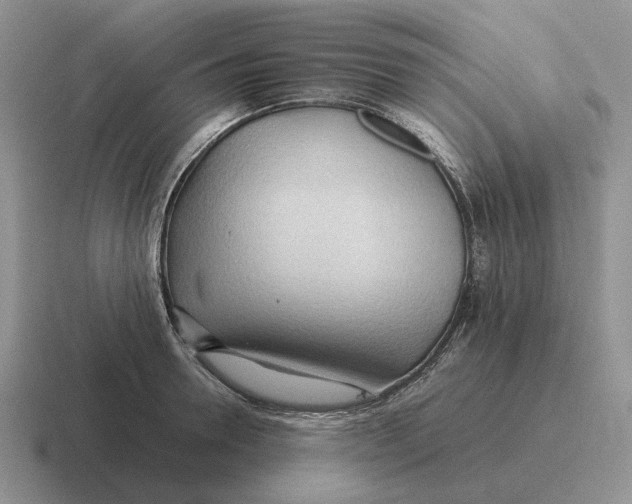 X0000116680946201001041146