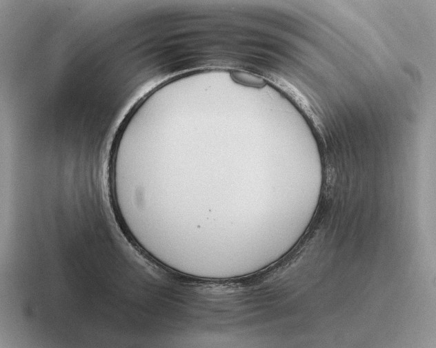 X0000116680947201001041146