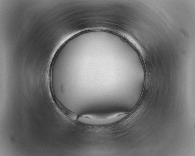 X0000116680951201001041146