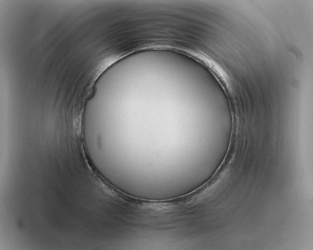 X0000116680953201001041146