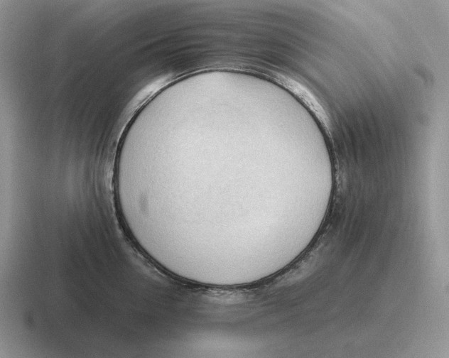 X0000116680954201001041146