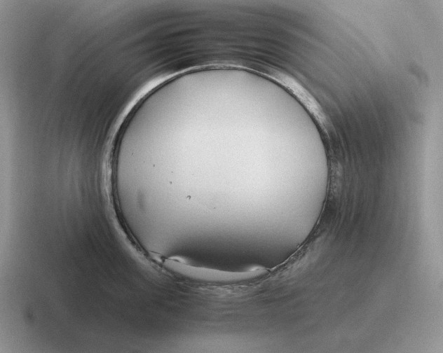 X0000116680955201001041146