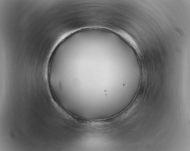 X0000116680958201001041146