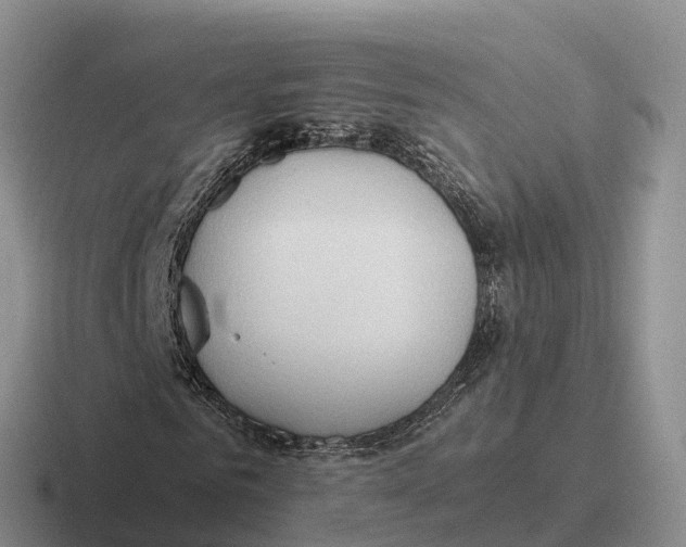 X0000116680961201001041146