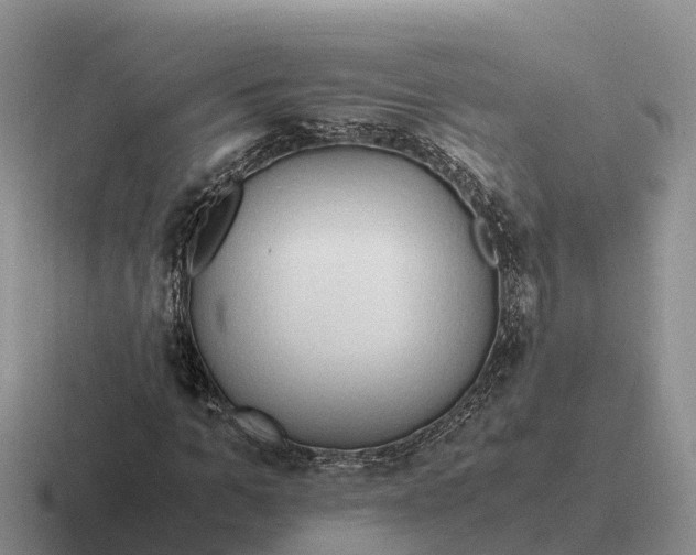 X0000116680965201001041145