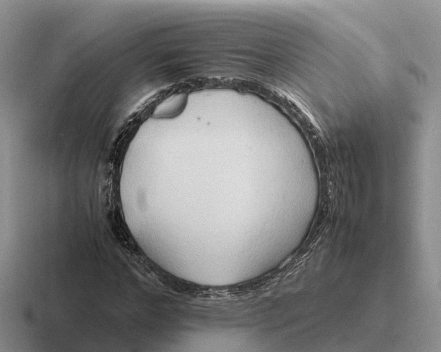 X0000116680968201001041145