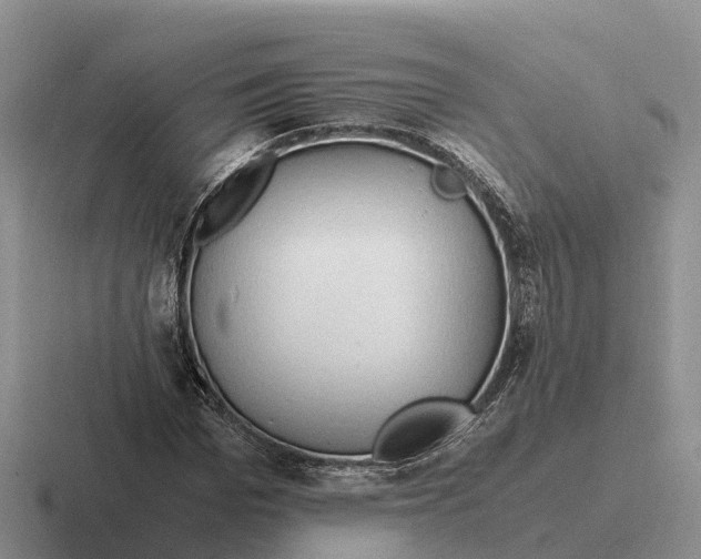 X0000116680969201001041145