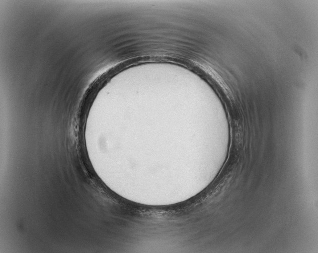 X0000116680971201001041145