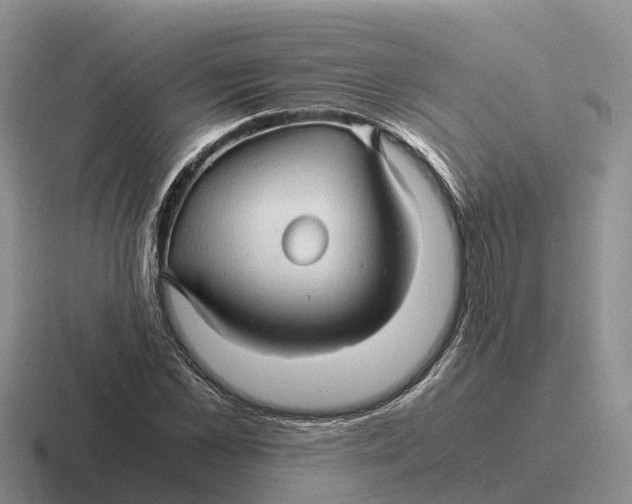 X0000116680973201001041145