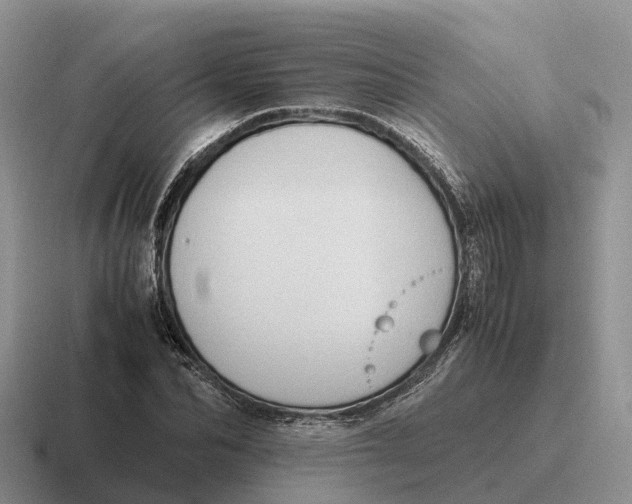 X0000116680974201001041145