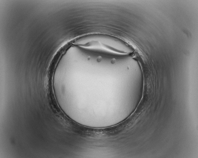 X0000116680975201001041145