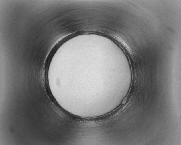 X0000116680976201001041145