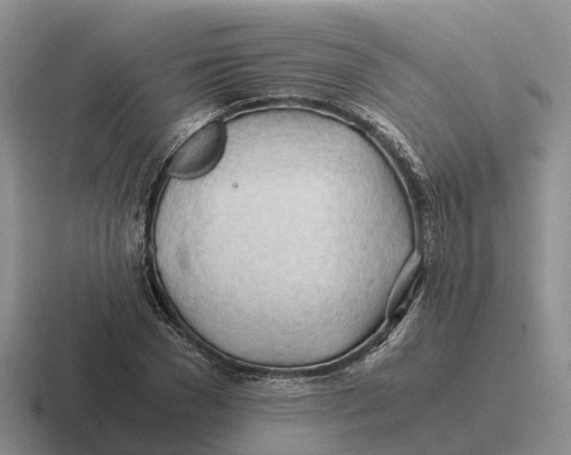 X0000116680977201001041145