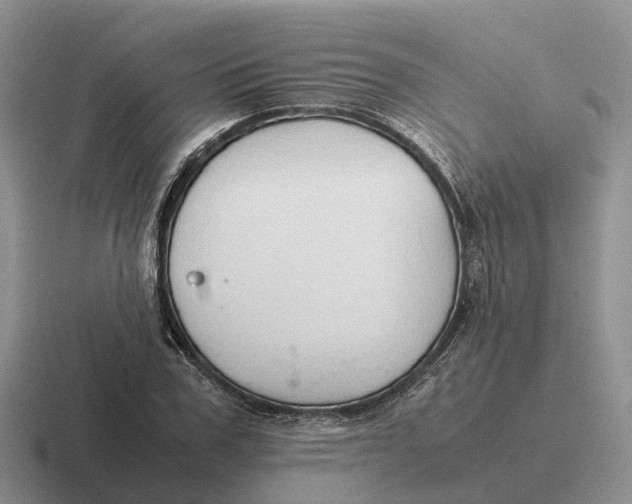 X0000116680979201001041145