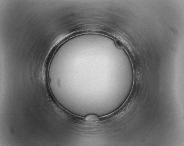 X0000116680981201001041145