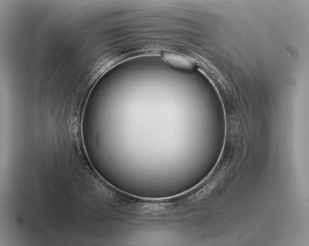 X0000116680985201001041145