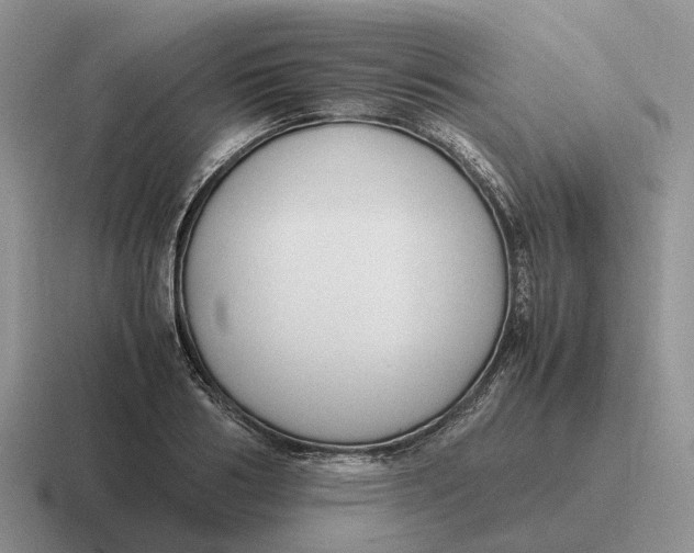 X0000116680986201001041145