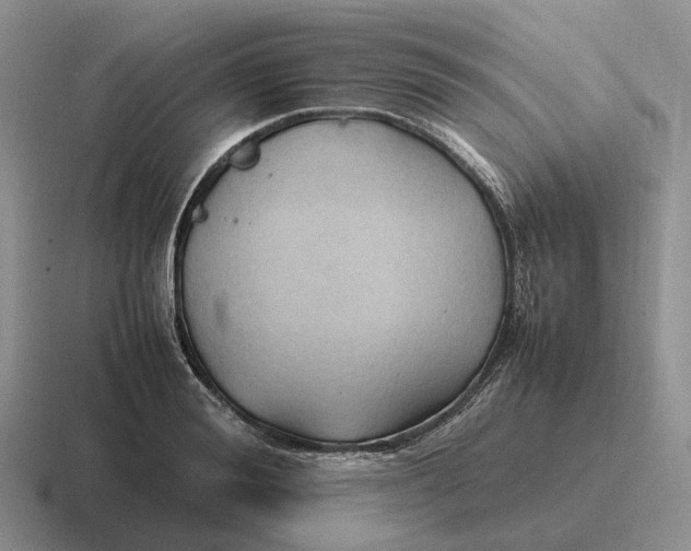 X0000116680988201001041145