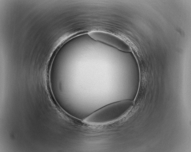 X0000116680989201001041145