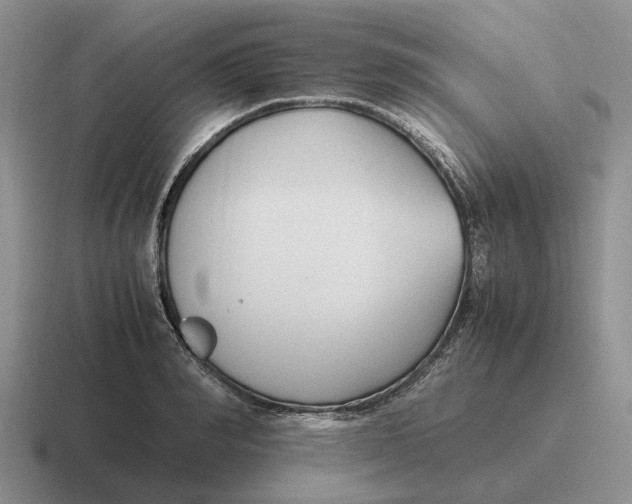 X0000116680990201001041145